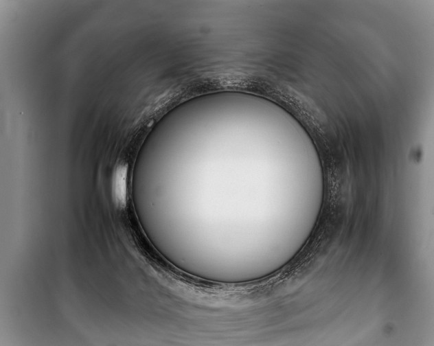 X0000100770028200806261554