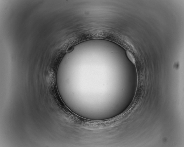 X0000100770029200806261554