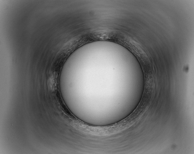 X0000100770030200806261554