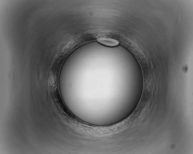 X0000100770031200806261554