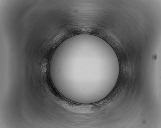 X0000100770032200806261554