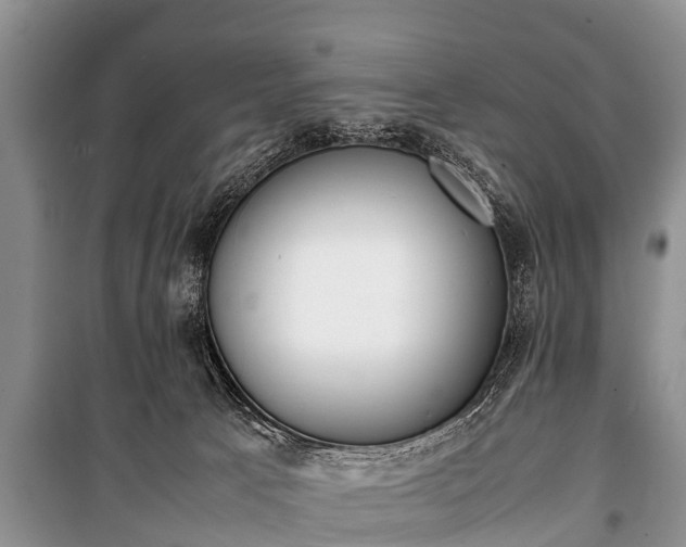 X0000100770033200806261554