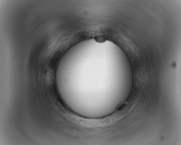 X0000100770034200806261554