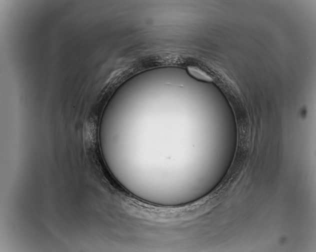X0000100770035200806261554