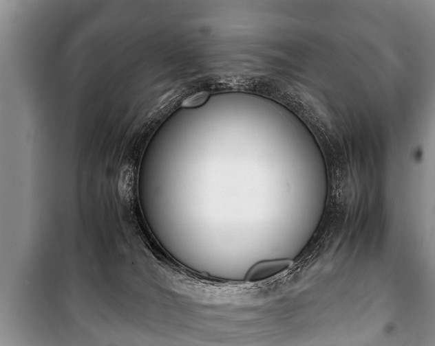 X0000100770036200806261554
