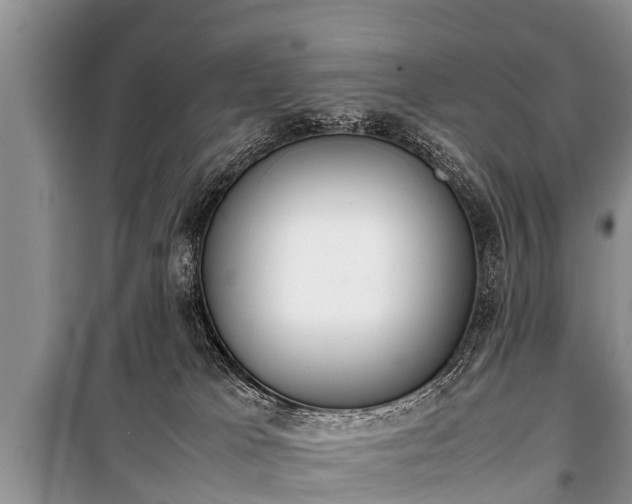 X0000100770037200806261554