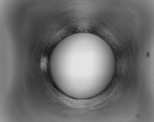 X0000100770038200806261554