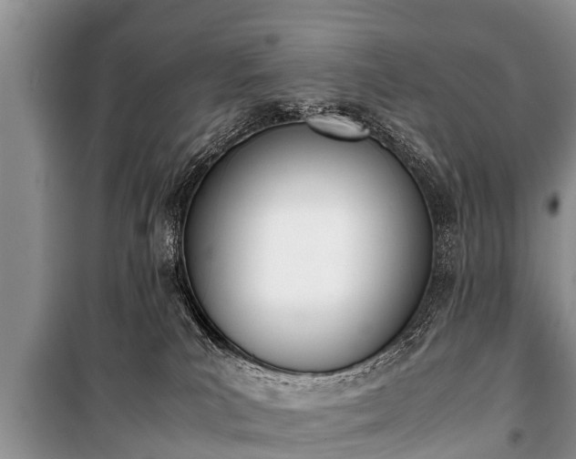 X0000100770039200806261554
