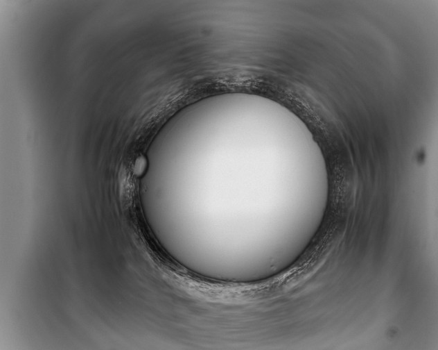X0000100770040200806261554