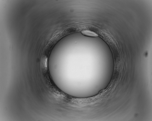 X0000100770041200806261554