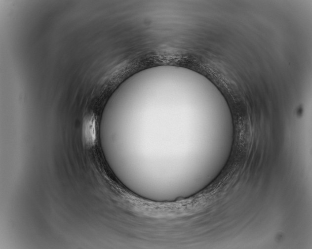 X0000100770042200806261554