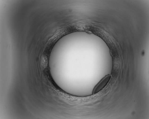 X0000100770043200806261554