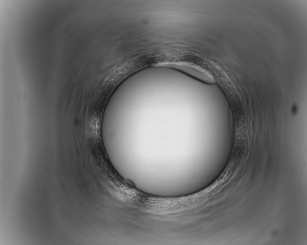 X0000100770045200806261554