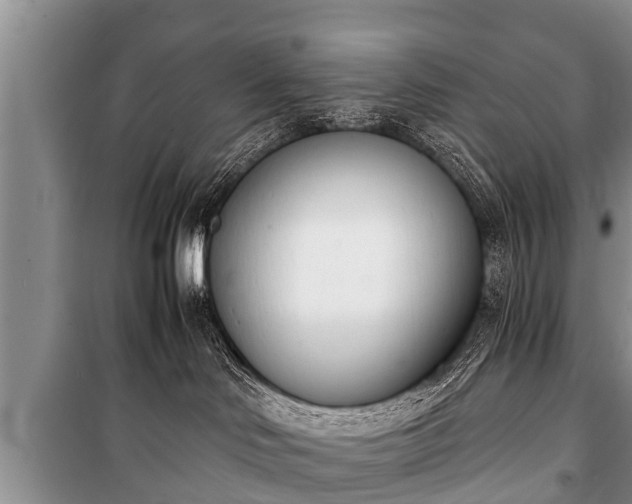 X0000100770046200806261554