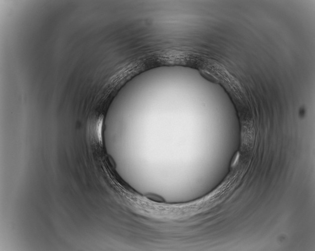 X0000100770047200806261554