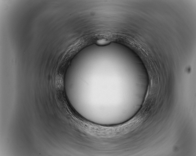 X0000100770048200806261554