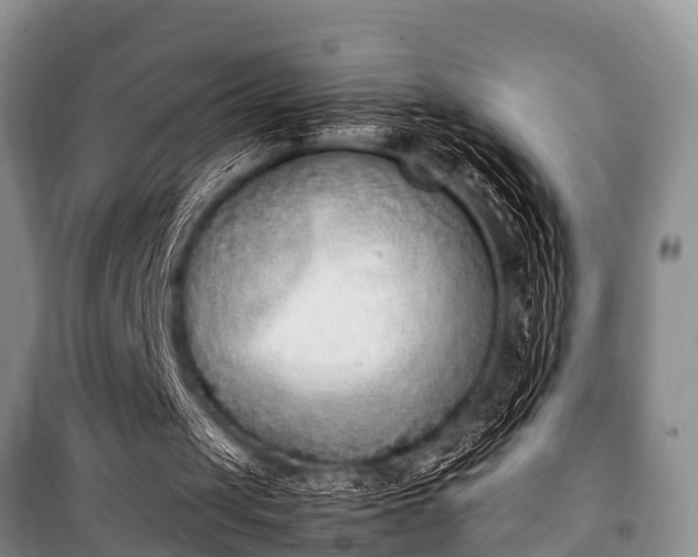 X0000100770049200806261553