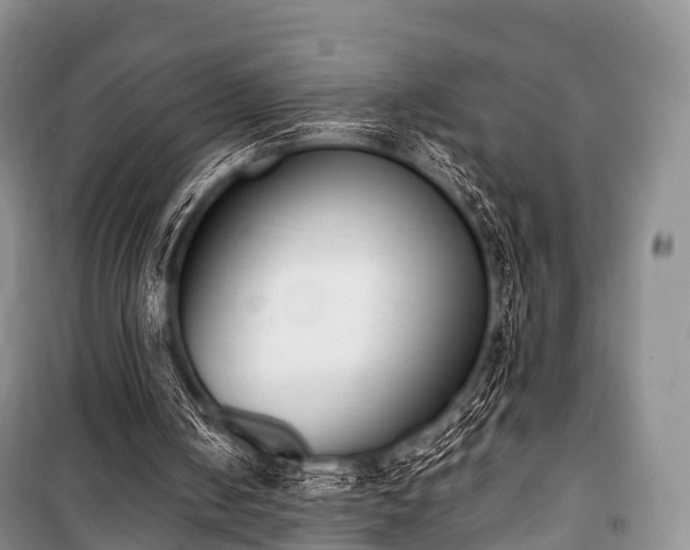 X0000100770050200806261553