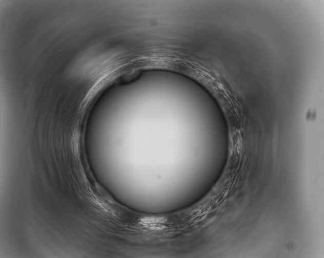 X0000100770051200806261553
