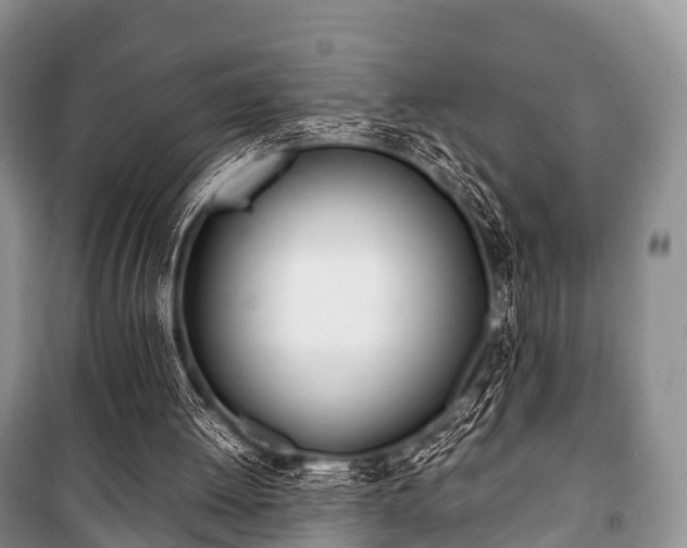 X0000100770052200806261553