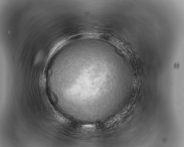 X0000100770053200806261553