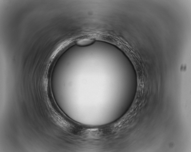 X0000100770054200806261553