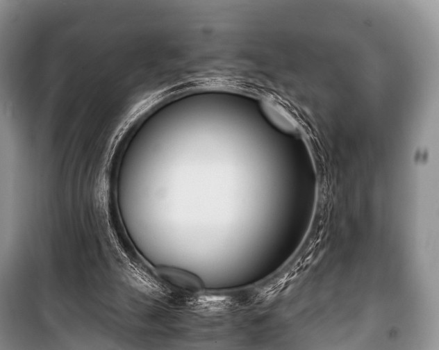 X0000100770055200806261553