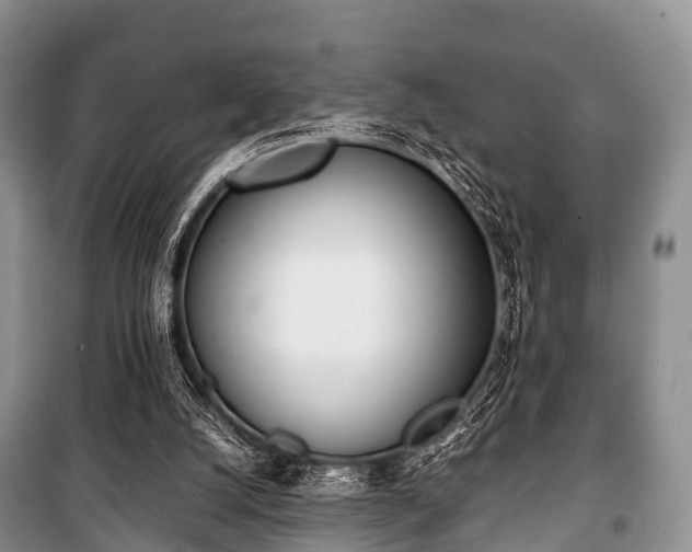 X0000100770056200806261553