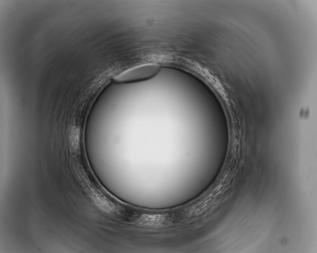 X0000100770057200806261553