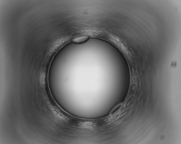 X0000100770058200806261553