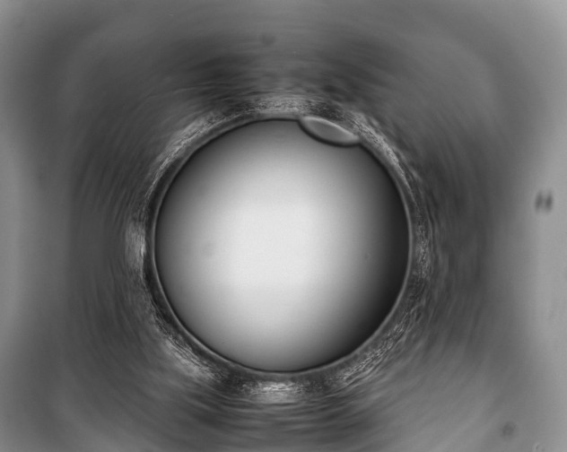 X0000100770059200806261553