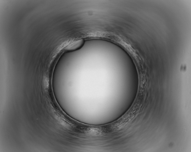 X0000100770060200806261553