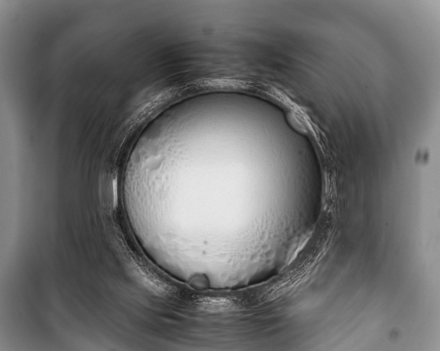 X0000100770061200806261553