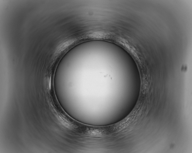 X0000100770062200806261553