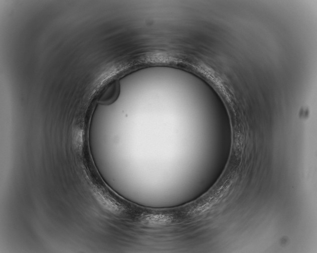 X0000100770063200806261553