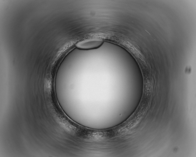 X0000100770064200806261553