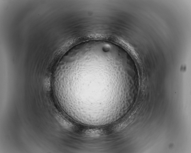 X0000100770065200806261553