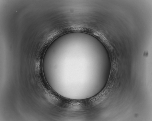 X0000100770066200806261553