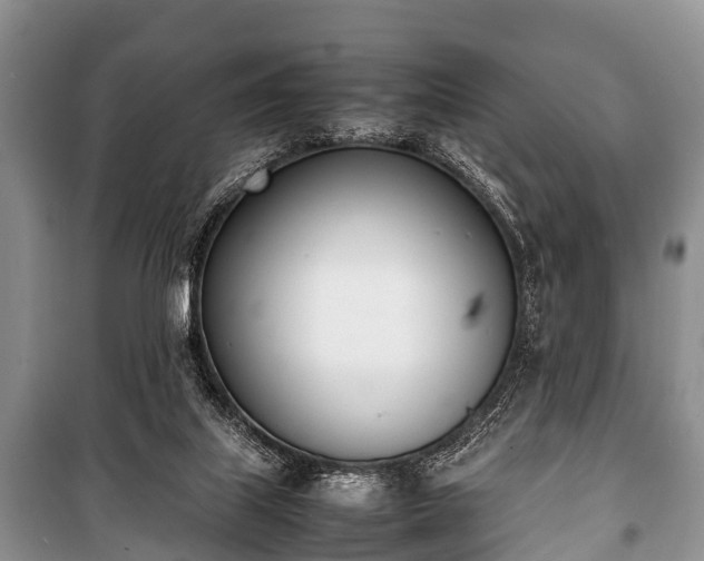 X0000100770067200806261553