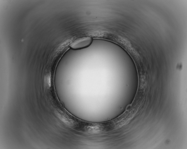 X0000100770068200806261553