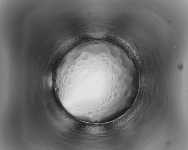 X0000100770069200806261553