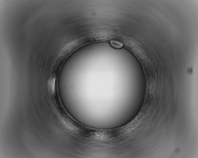X0000100770070200806261553