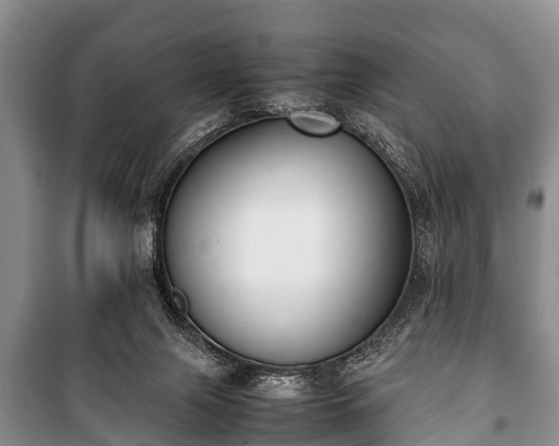 X0000100770071200806261553
