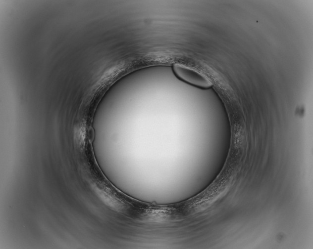 X0000100770072200806261553
