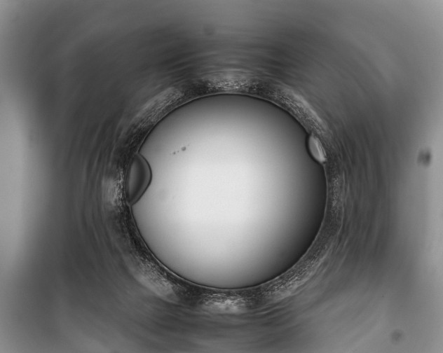 X0000100770073200806261554