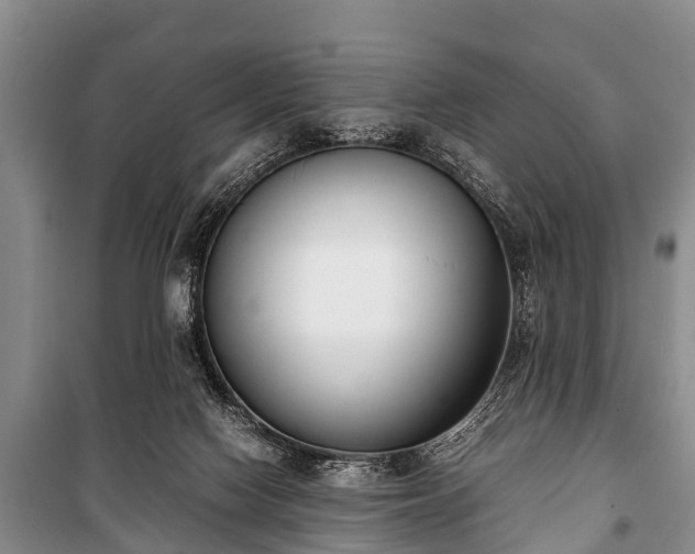 X0000100770074200806261554