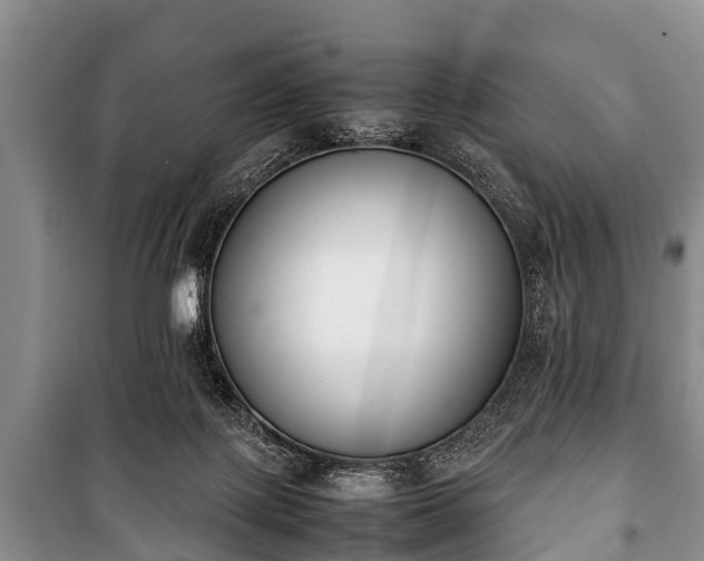 X0000100770075200806261554