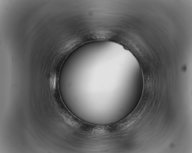 X0000100770076200806261554