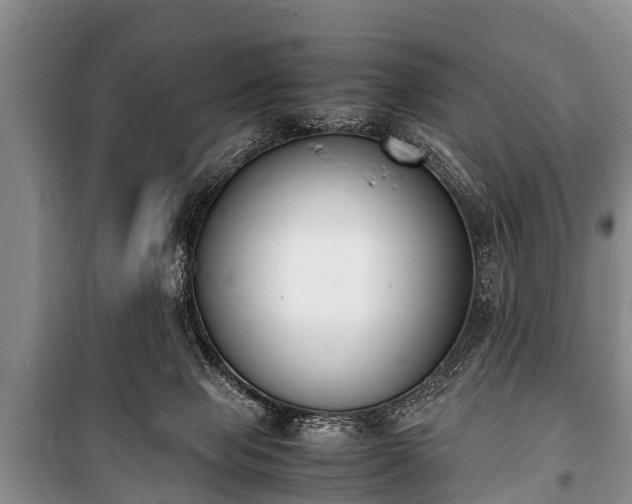 X0000100770077200806261554