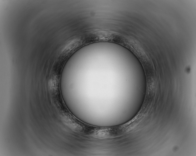 X0000100770078200806261554